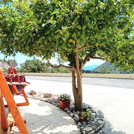 Eirini Apartment Kefalos  Bagian luar foto