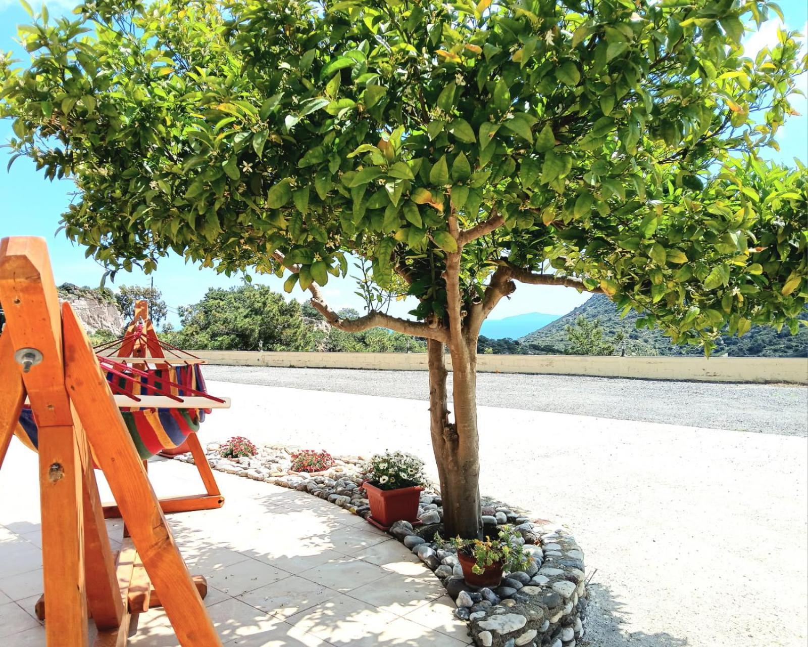 Eirini Apartment Kefalos  Bagian luar foto